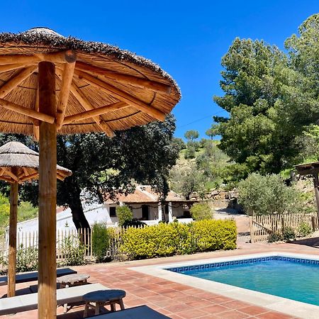Finca El Sueno Andaluz Вильянуэва-де-ла-Консепсьон Экстерьер фото