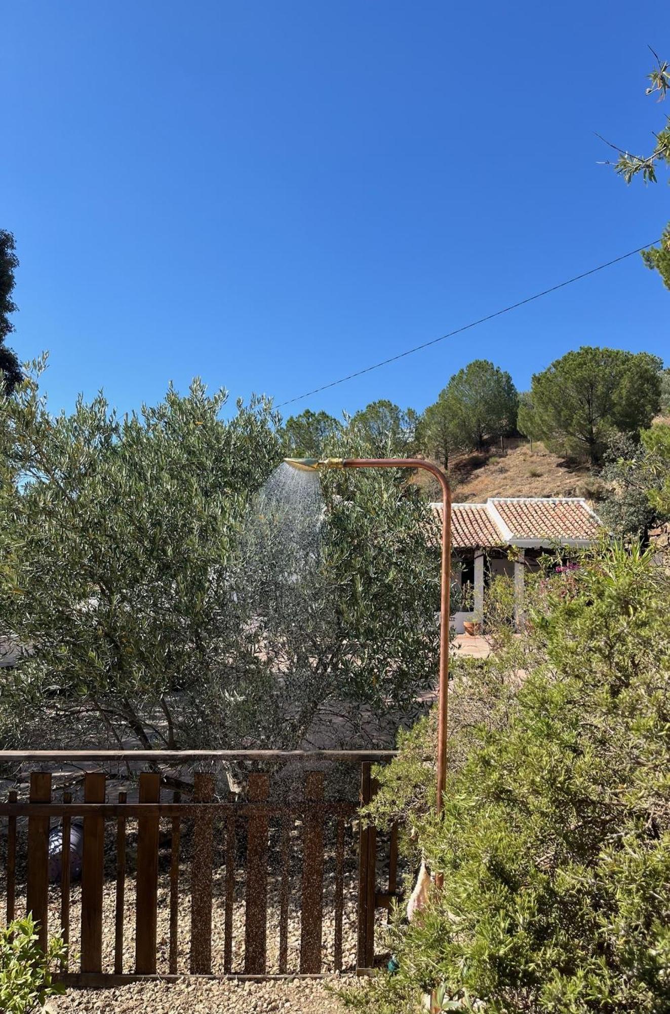Finca El Sueno Andaluz Вильянуэва-де-ла-Консепсьон Экстерьер фото