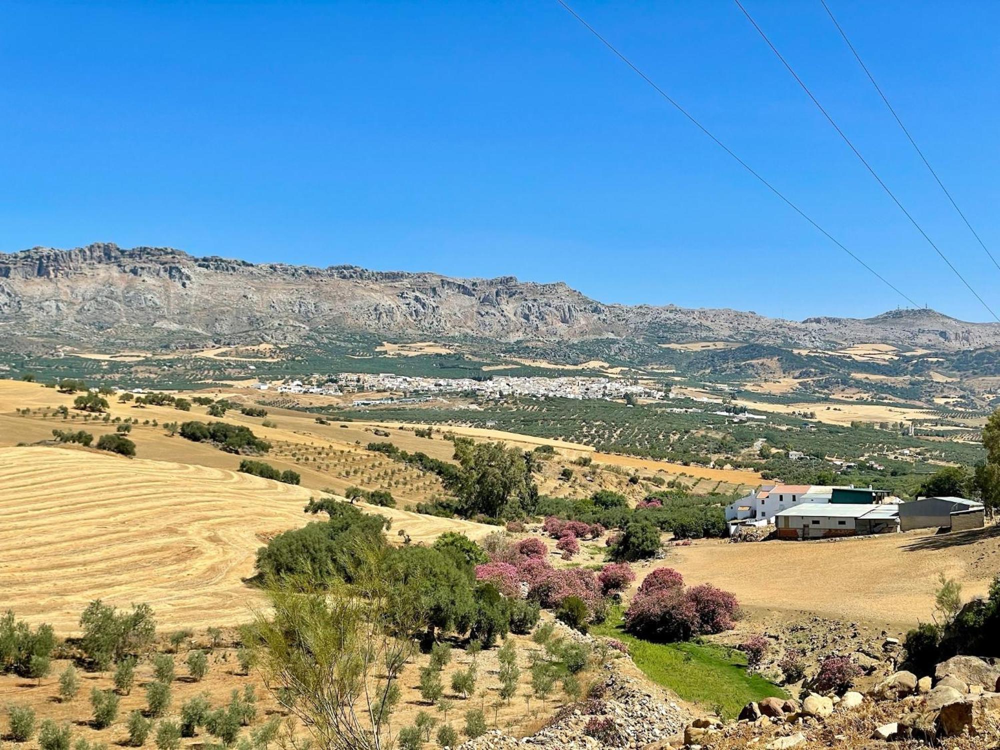 Finca El Sueno Andaluz Вильянуэва-де-ла-Консепсьон Экстерьер фото