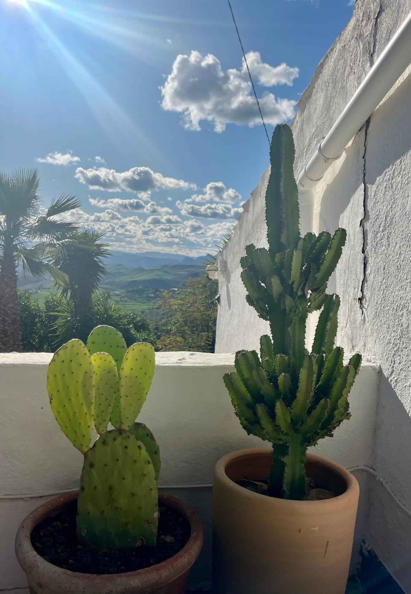 Finca El Sueno Andaluz Вильянуэва-де-ла-Консепсьон Экстерьер фото